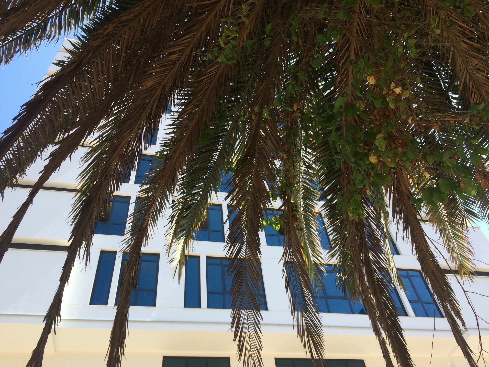 Aselia Hotel Trabzon Exterior foto